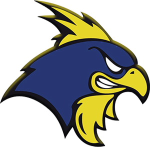 Delaware Jr. Blue Hens – Teamrmhockey