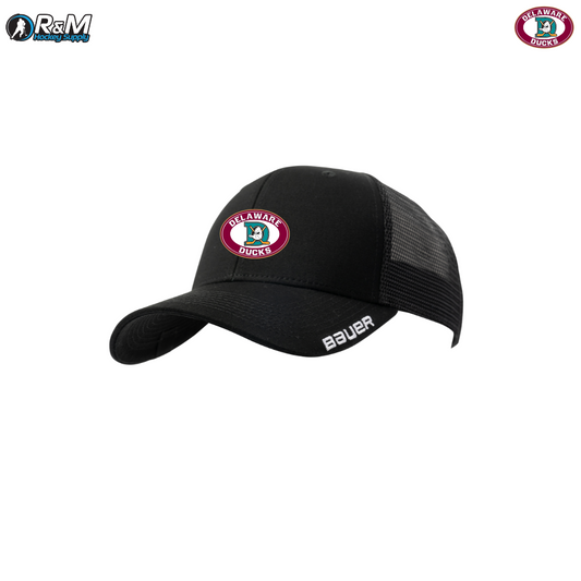 Delaware Ducks Team Hat